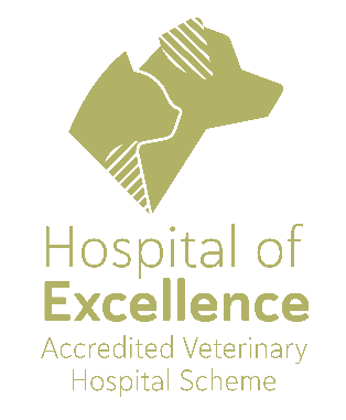 Malvern Veterinary Hospital - Hospital of Excellence