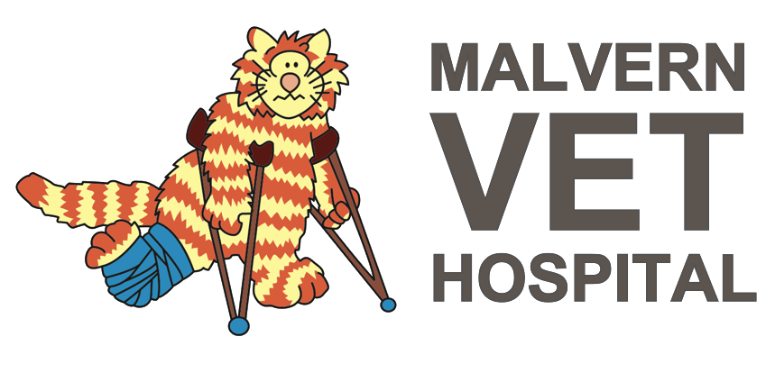 Malvern Veterinary Hospital Quality pet care Open 7 days a week