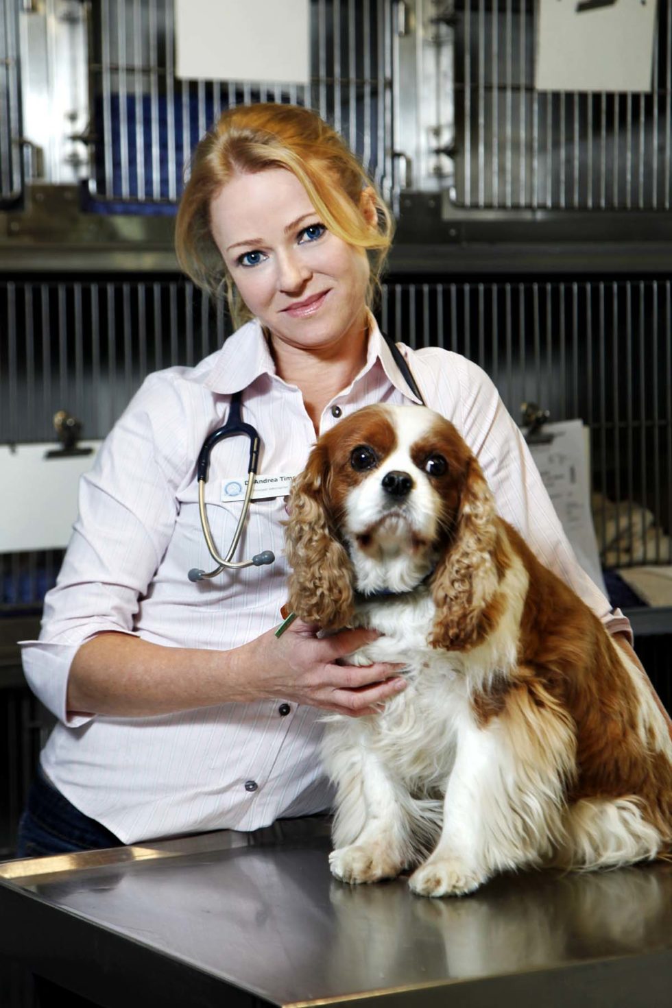 Meet Our Team Malvern Veterinary Hospital Open 7 days a week