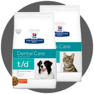 Malvern Dental Deals - 15% Off Dental Consultations - Malvern Vet