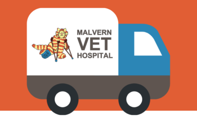 NEW: Free food delivery and mail-outs for worm and flea treatments