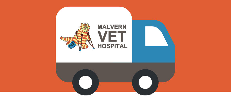 NEW: Free food delivery and mail-outs for worm and flea treatments