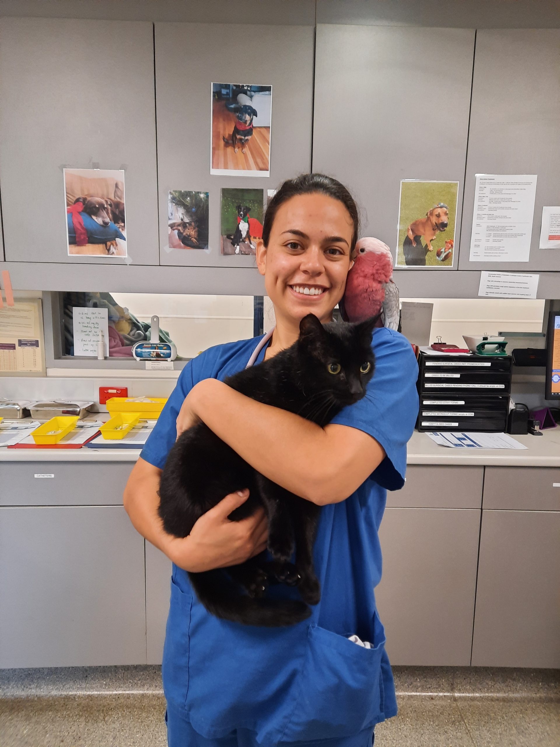 bio photo Malvern Veterinary Hospital