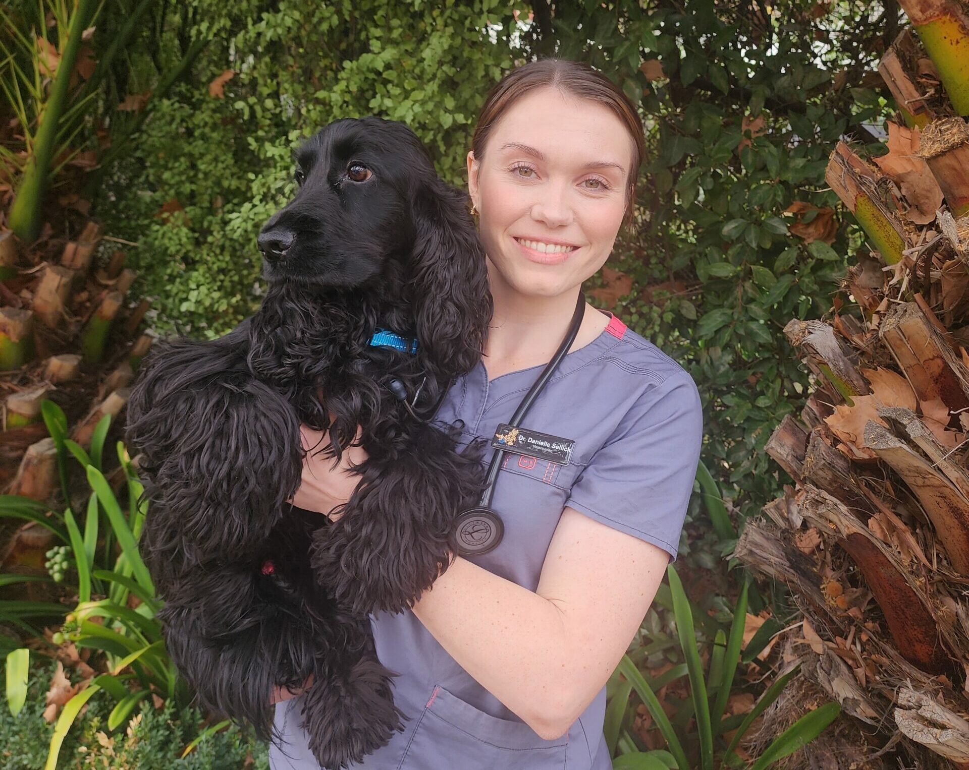Dr Danielle Selleck 1 Malvern Veterinary Hospital