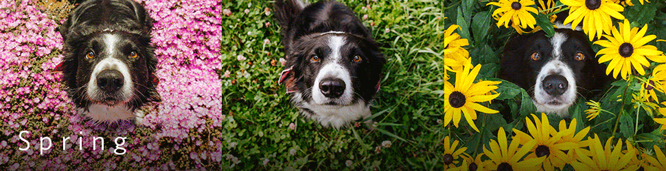 Year-long protection_BillBoard_970x250px_(1)