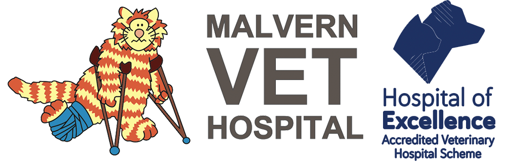 Malvern Veterinary Hospital