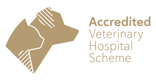Malvern Veterinary Hospital - Highest Standards in Veterinary Care
