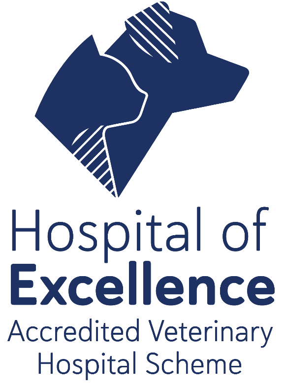 Malvern Veterinary Hospital - Highest Standards in Veterinary Care
