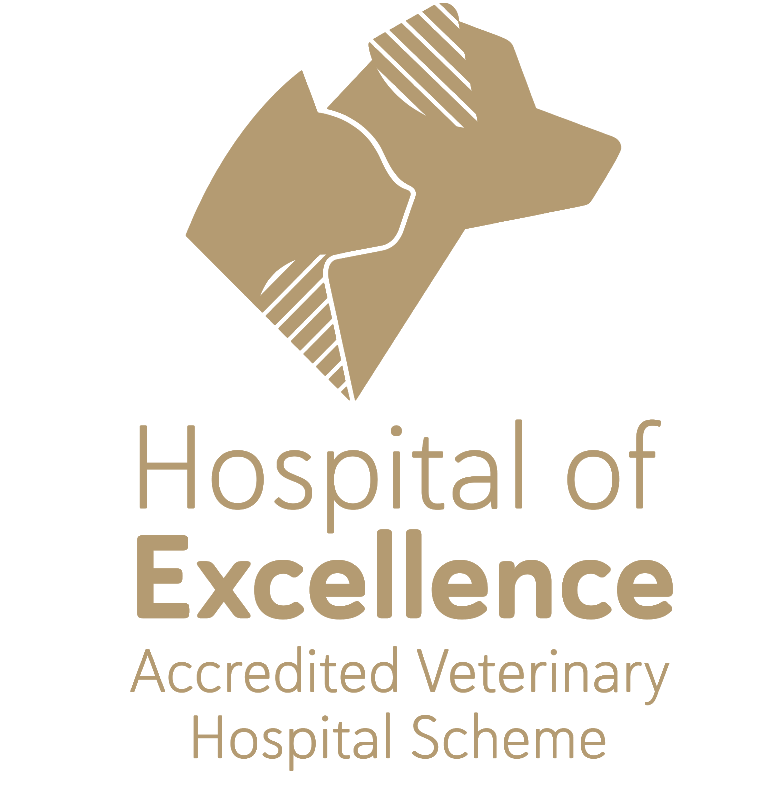 Malvern Veterinary Hospital - Highest Standards in Veterinary Care